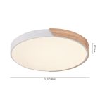 Ceiling Light-Minimalist Dimmable Round Ceiling Light