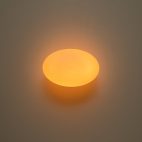farmhouze-light-1-light-aged-brass-simple-oval-globe-wall-light-wall-sconce-aged-brass-670238